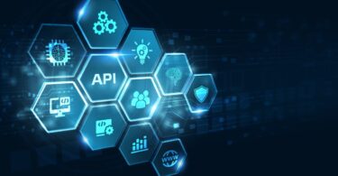 API Ecosystems: Exploring Their Growing Role