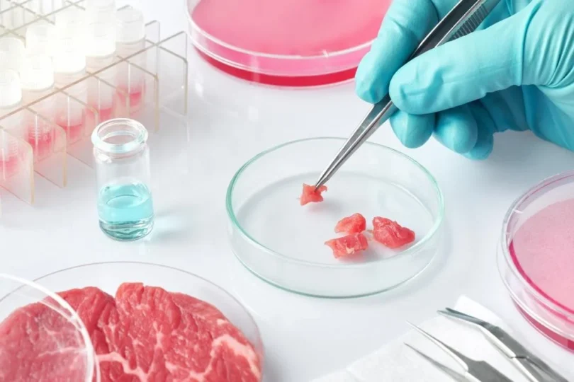 Lab-Grown Meats: Exploring Innovations in Food Technology