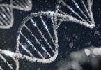 CRISPR and Genetic Engineering: Exploring the Next Frontier