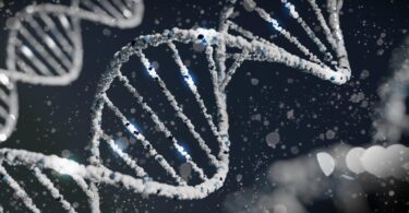 CRISPR and Genetic Engineering: Exploring the Next Frontier